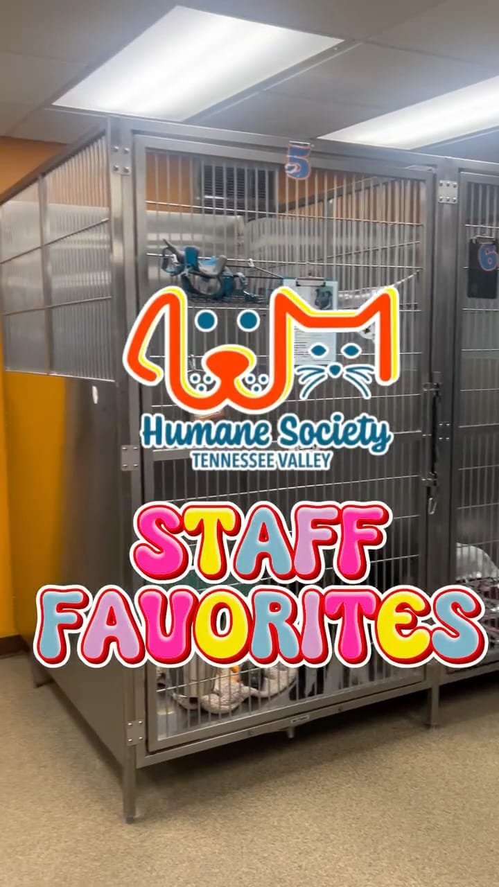 Post 2 by Humane Society, TN Valley on Instagram (video)