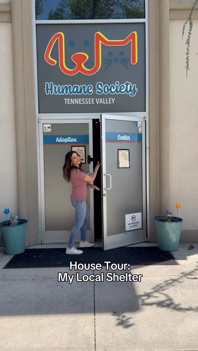 Post 8 by Humane Society, TN Valley on Instagram (video)