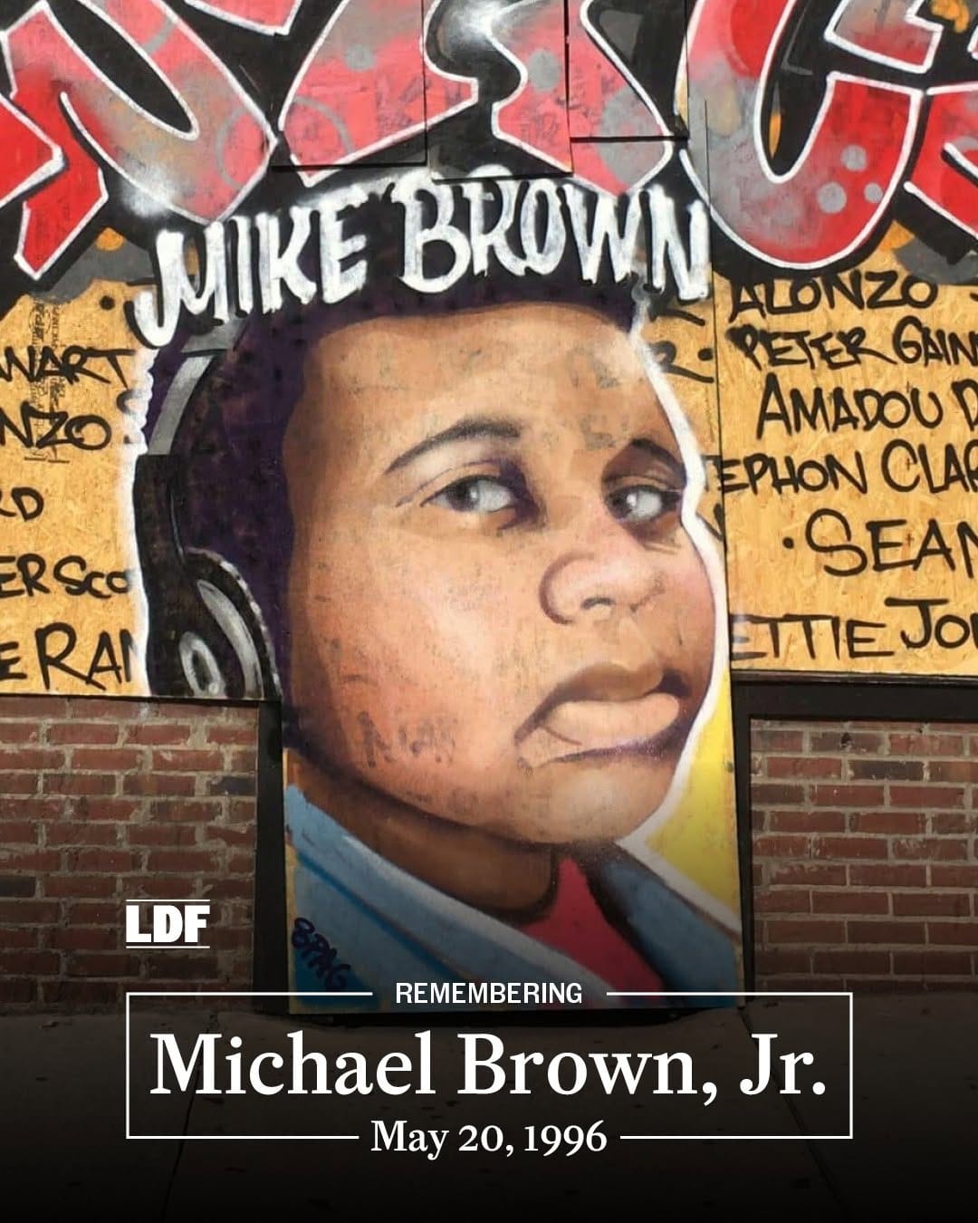 Post 6 by Legal Defense Fund on Instagram (image)