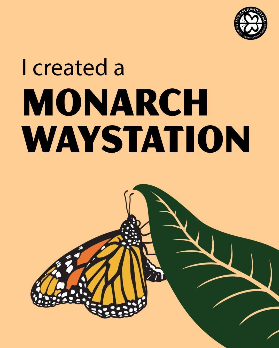 Post 10 by Monarch Watch on Instagram (carousel)