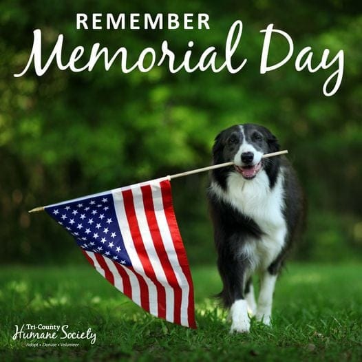 Post 1 by Tri-County Humane Society on Instagram (image)