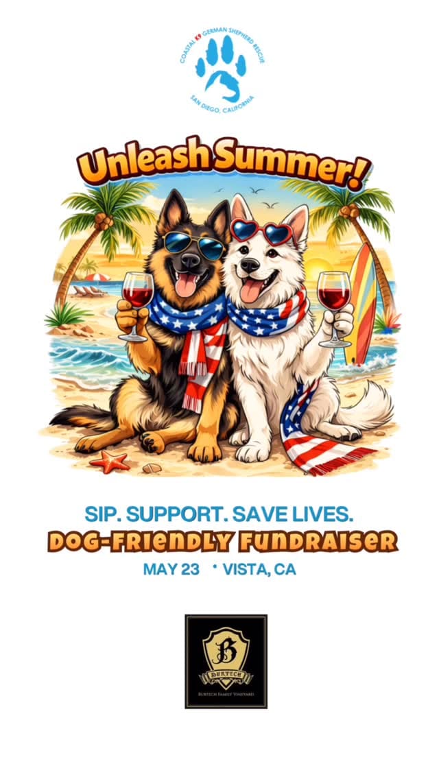 Post 5 by Coastal K9 German Shepherd Rescue on Instagram (video)