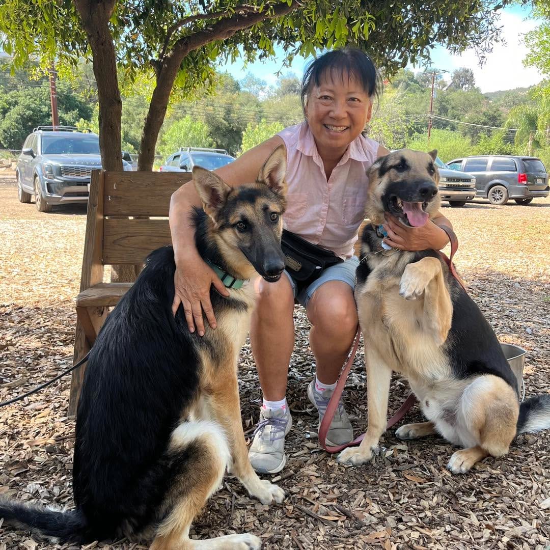 Post 7 by Coastal K9 German Shepherd Rescue on Instagram (carousel)