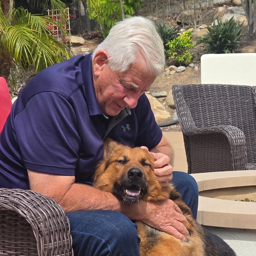 Post 2 by Coastal K9 German Shepherd Rescue on Instagram (carousel)