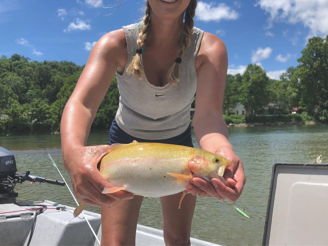 Post 2 by Explore Arkansas on Instagram (carousel)