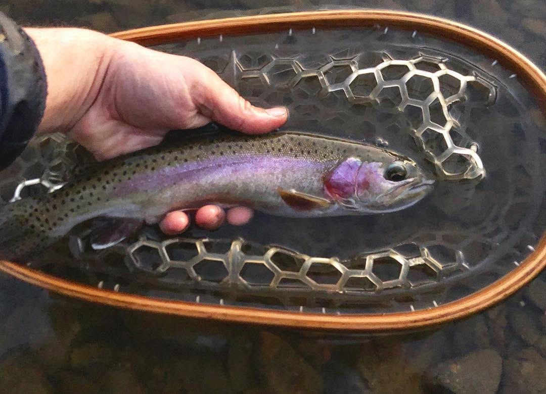 Post 6 by Explore Arkansas on Instagram (image)