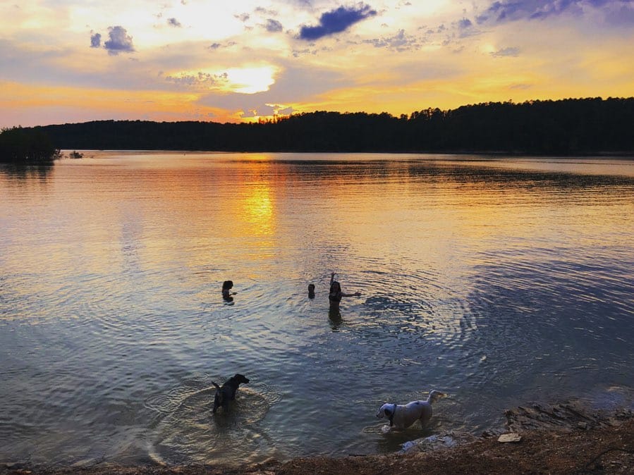 Post 3 by Explore Arkansas on Instagram (carousel)
