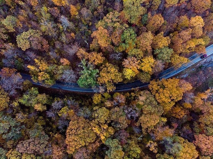 Post 7 by Explore Arkansas on Instagram (image)