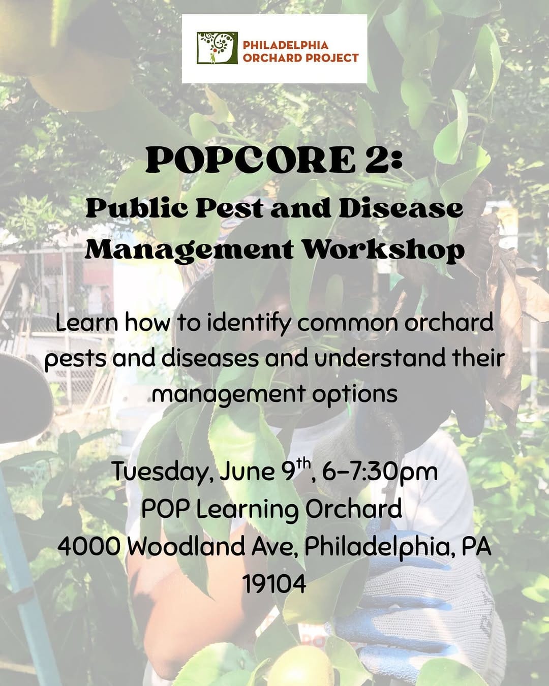 Post 5 by Philadelphia Orchard Project on Instagram (image)
