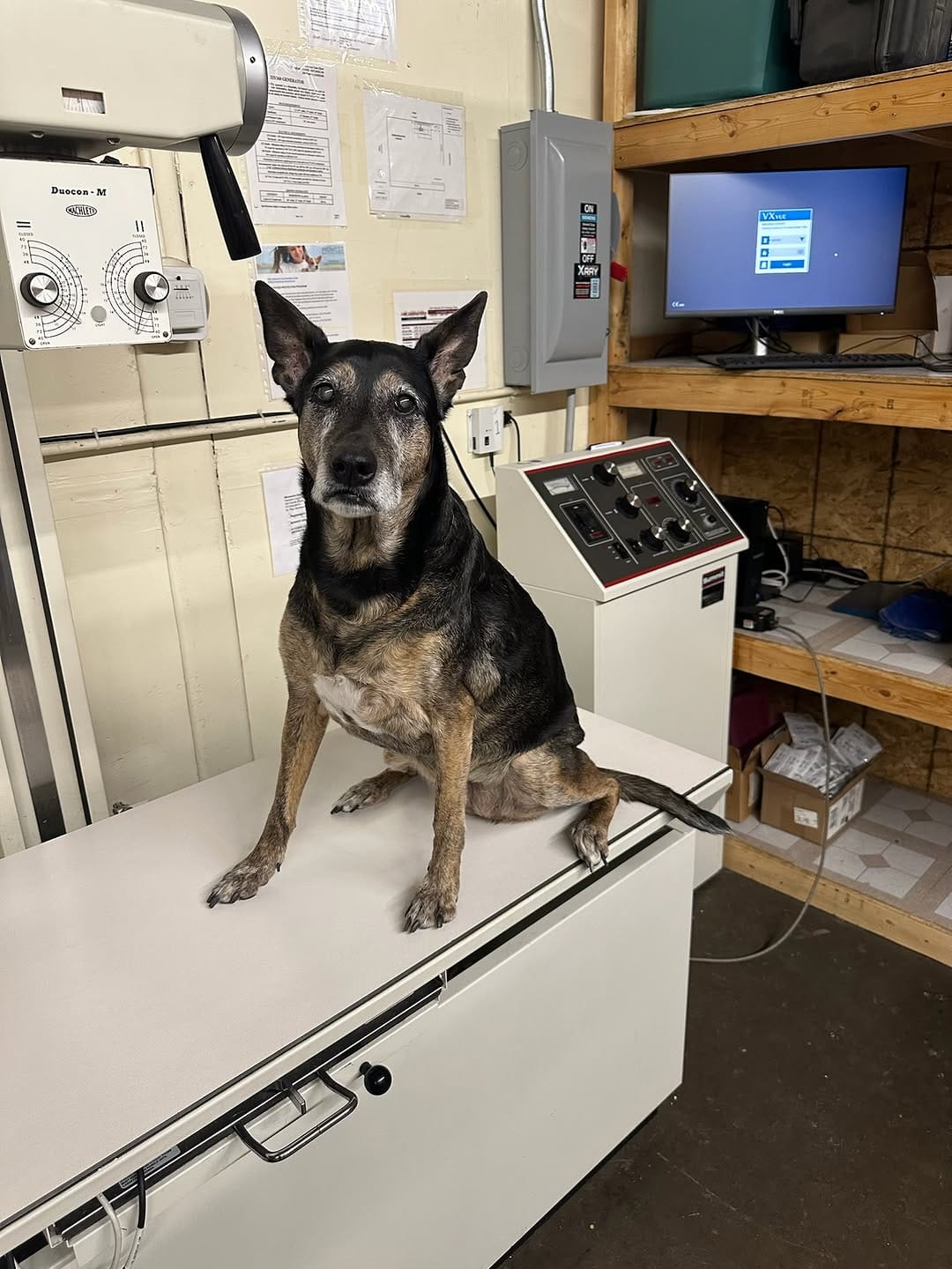 Post 2 by Midwest Animal Rescue Services on Instagram (carousel)