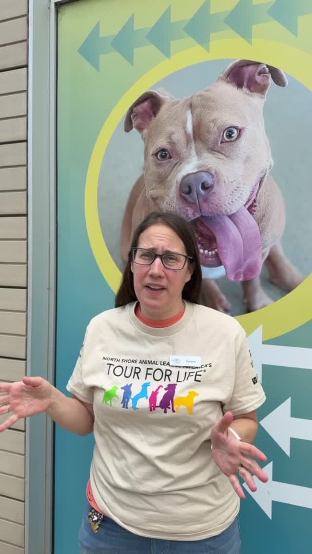 Post 5 by Anti-Cruelty on Instagram (video)