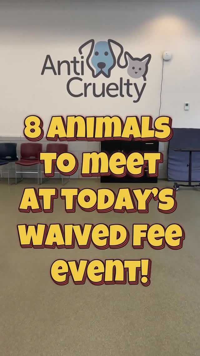 Post 7 by Anti-Cruelty on Instagram (video)