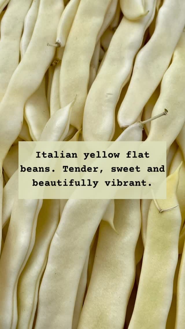 Post 2 by Rushton’s the chefs’ greengrocer on Instagram (video)