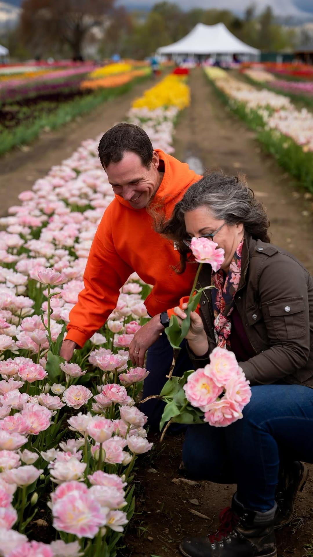 Post 10 by Wicked Tulips Flower Farm on Instagram (video)