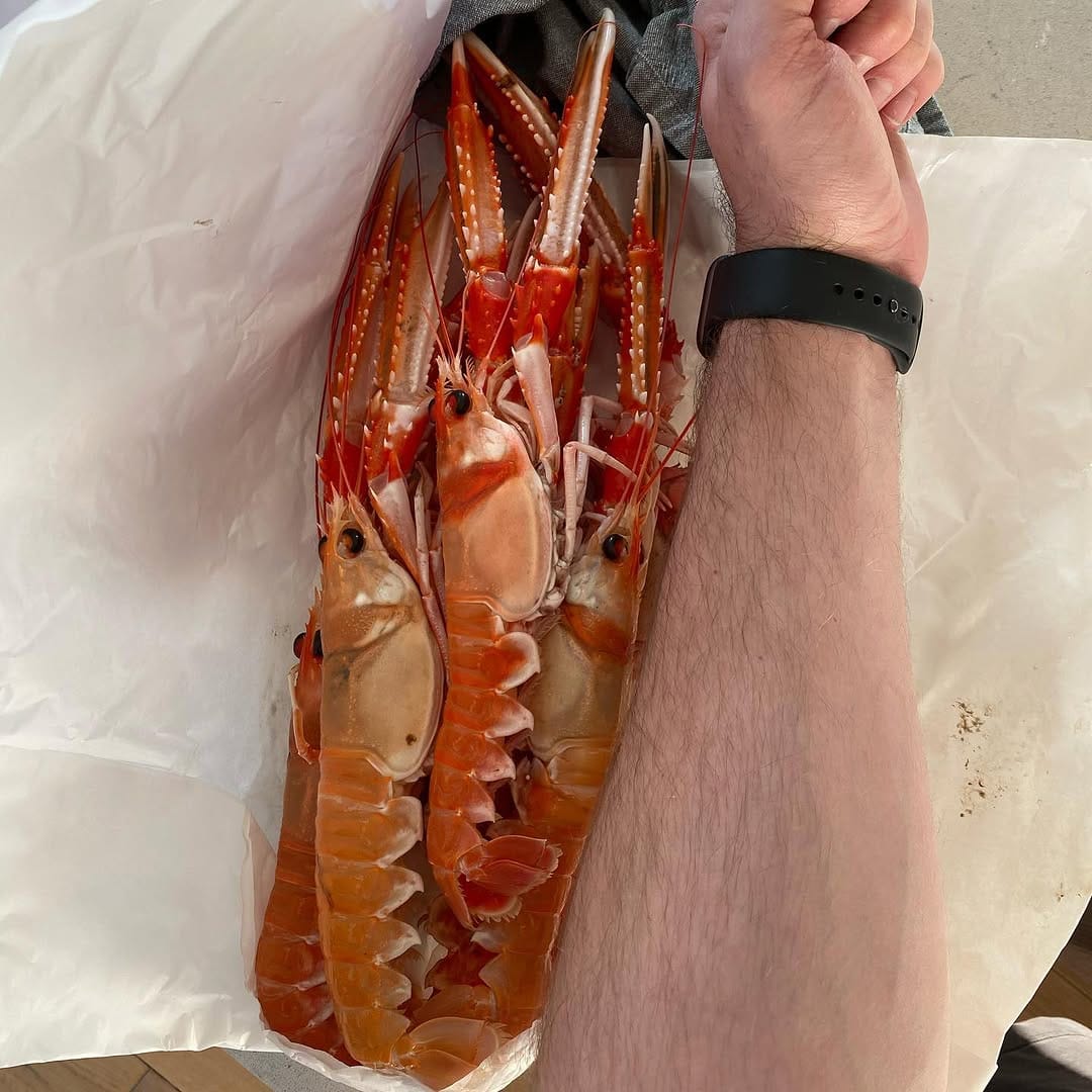 Post 7 by @goodfeedguys on Instagram (carousel)