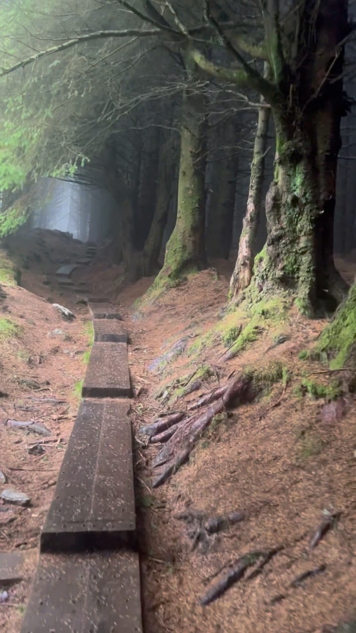 Post 10 by Belfastfooday on Instagram (video)