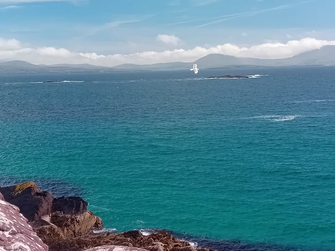 Post 5 by Today in Ireland on Instagram (image)