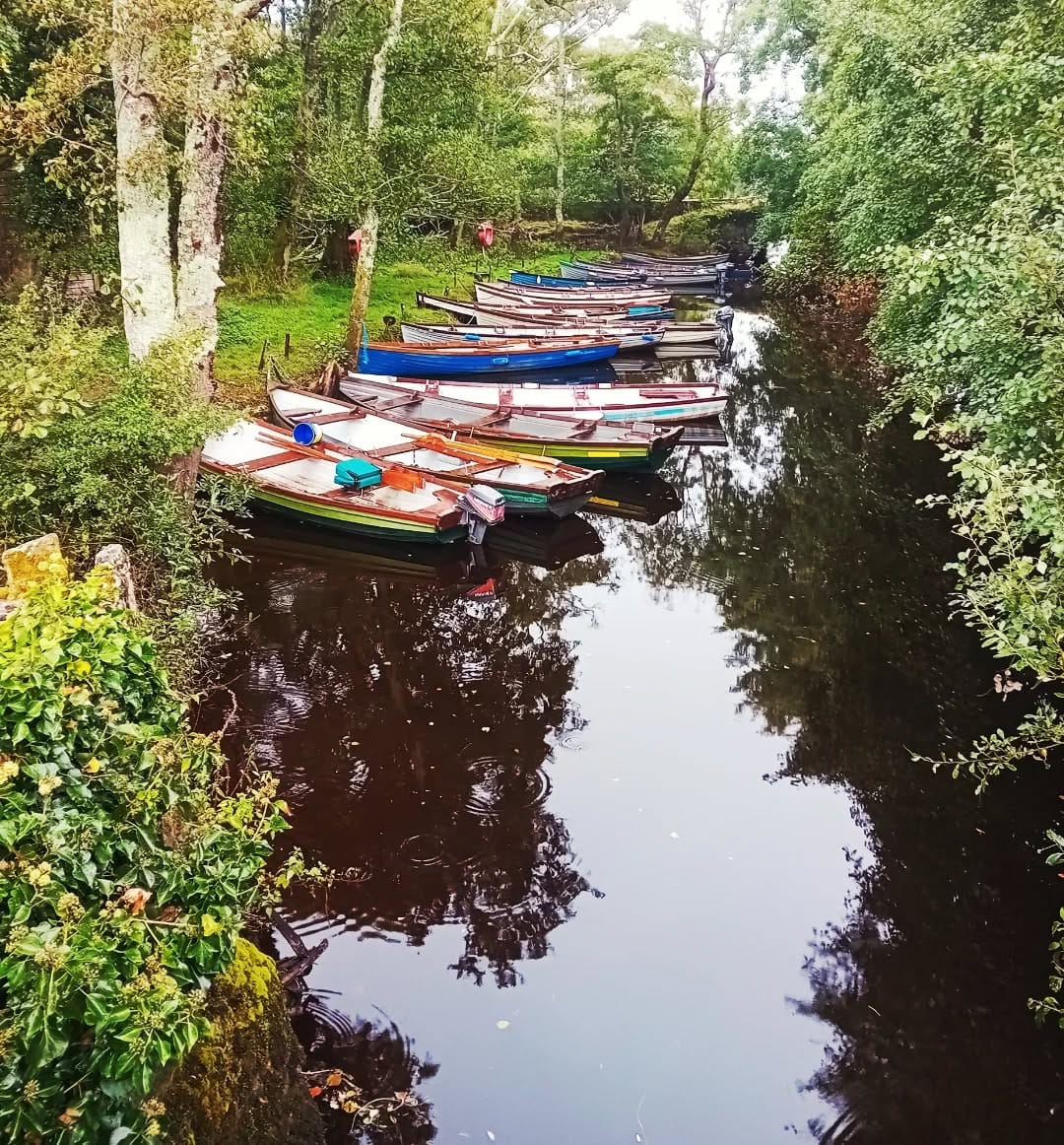 Post 8 by Today in Ireland on Instagram (carousel)