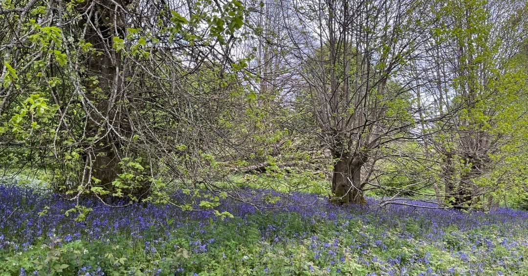 Post 2 by University of Exeter, Cornwall on Instagram (carousel)