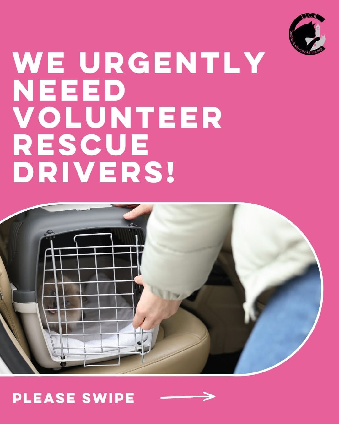 Post 10 by London Inner City Kitties on Instagram (carousel)
