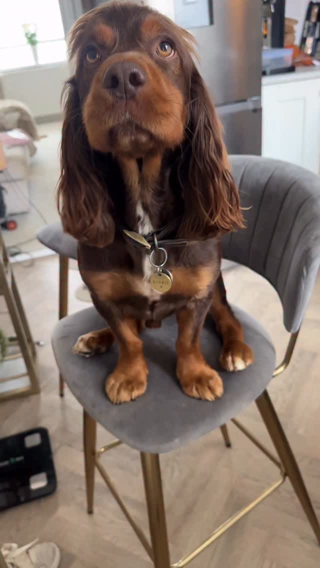 Post 2 by Olivia Mae Bradley on Instagram (video)