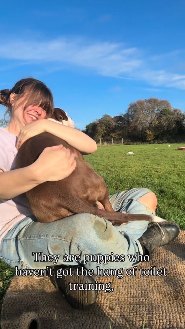 Post 7 by Fetcher Dog on Instagram (video)