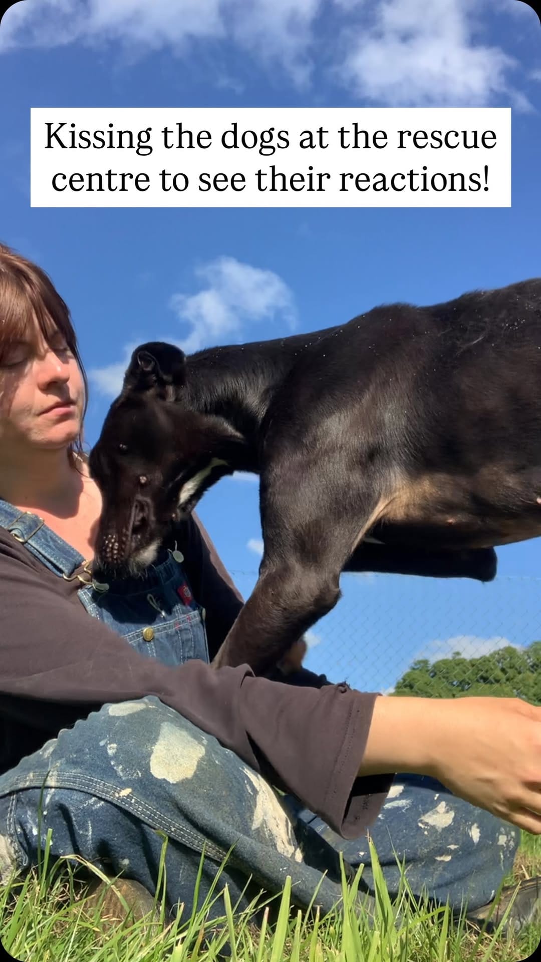 Post 9 by Fetcher Dog on Instagram (video)