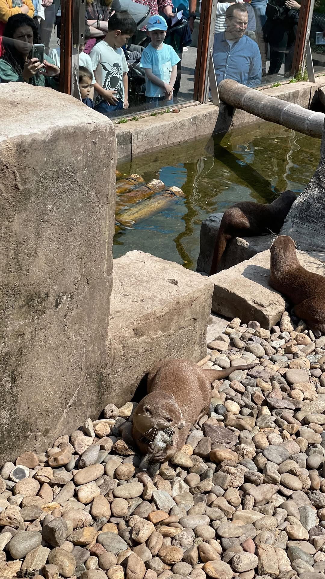 Post 8 by Dingle Oceanworld Aquarium on Instagram (video)