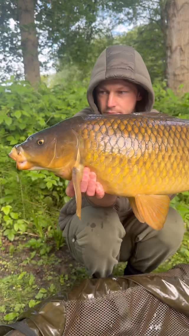 Post 7 by Churchwood Fisheries on Instagram (video)