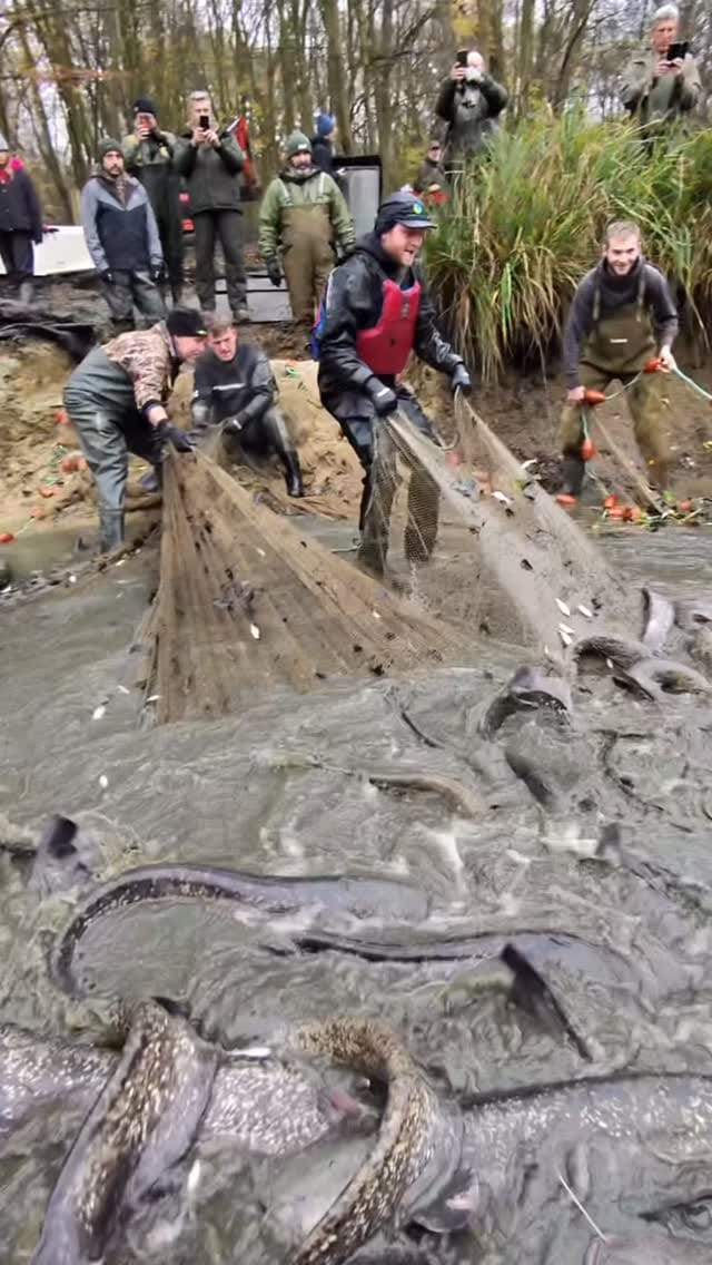 Post 10 by Churchwood Fisheries on Instagram (video)