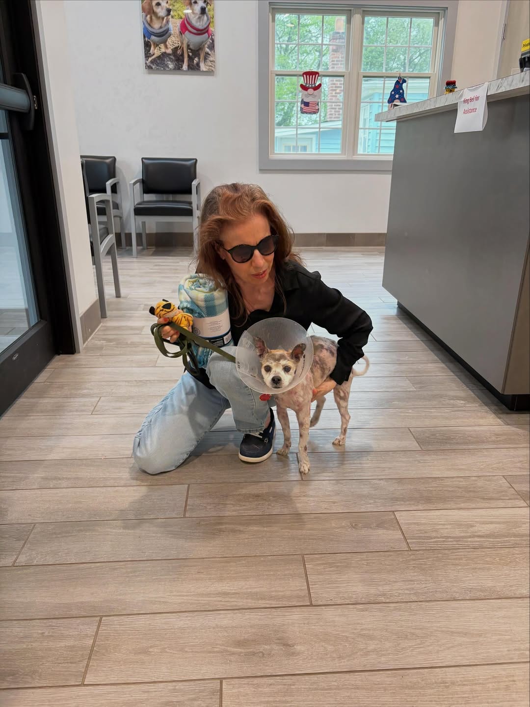 Post 6 by Kent Animal Shelter 🐕🐾🐈‍⬛ on Instagram (carousel)