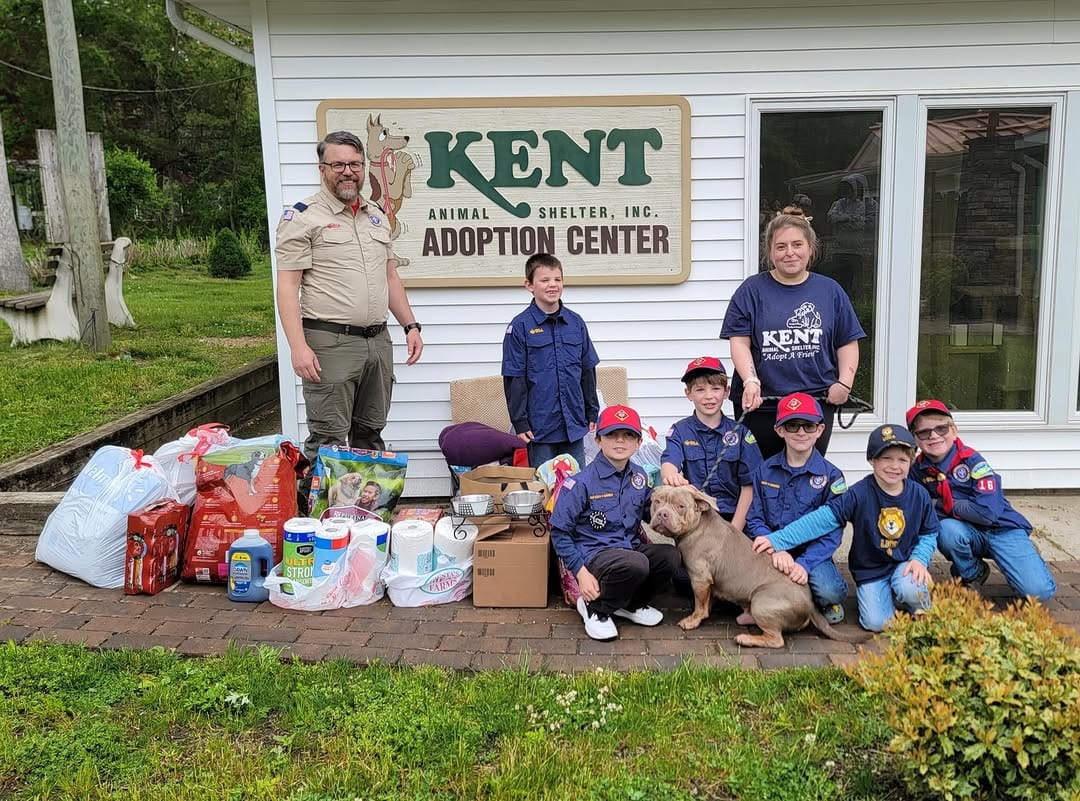 Post 3 by Kent Animal Shelter 🐕🐾🐈‍⬛ on Instagram (carousel)