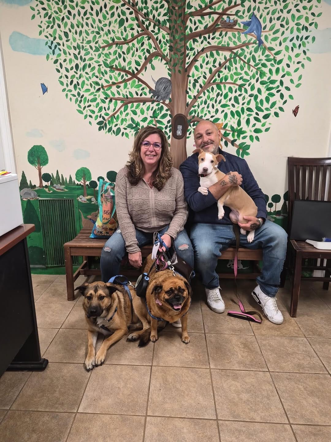 Post 1 by Kent Animal Shelter 🐕🐾🐈‍⬛ on Instagram (carousel)