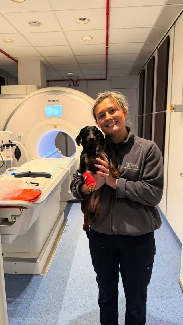 Post 4 by Veterinary Specialists Ireland on Instagram (video)