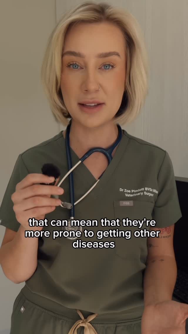 Post 5 by Sydney Animal Hospitals on Instagram (video)