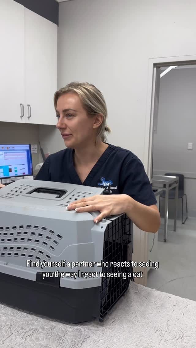 Post 7 by Sydney Animal Hospitals on Instagram (video)
