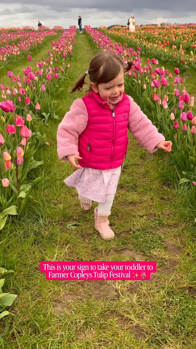 Post 5 by Rachel - Family & Lifestyle Creator📸✨ on Instagram (video)