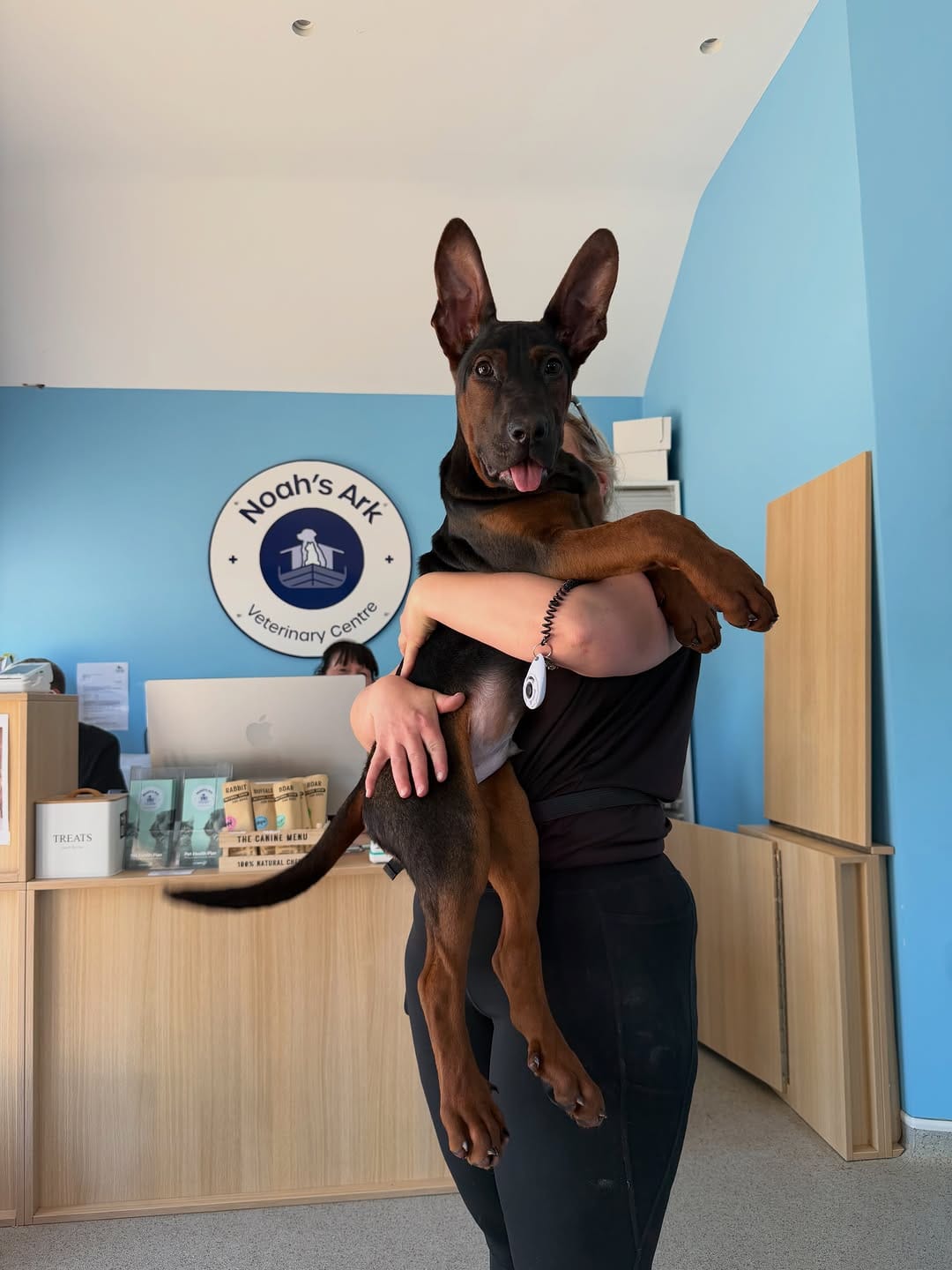 Post 1 by DDR Guard Dogs on Instagram (image)
