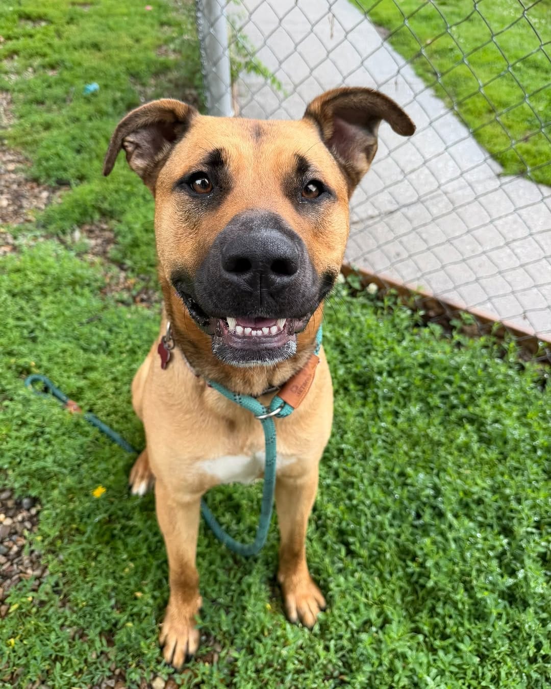 Post 10 by Kentucky Humane Society on Instagram (carousel)