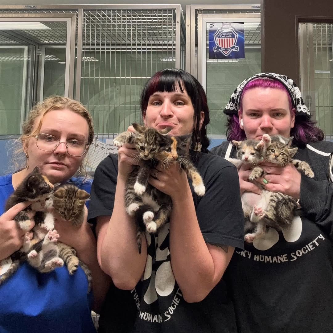 Post 7 by Kentucky Humane Society on Instagram (image)
