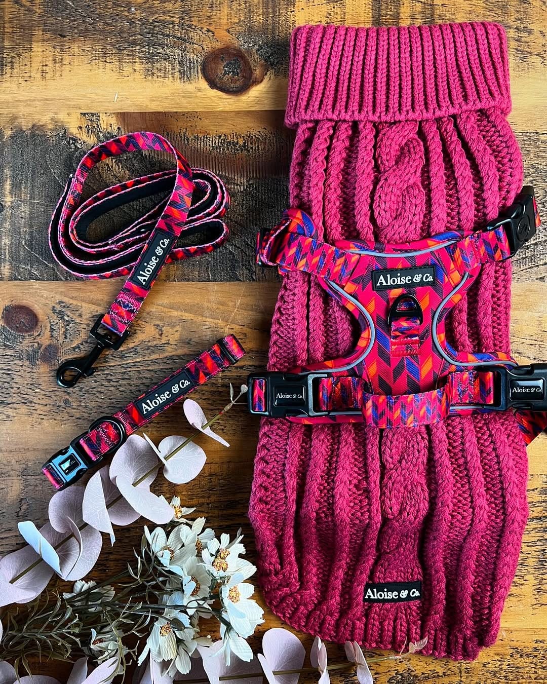 Post 10 by Aloise & Co Made to Wander ᴛᴍ | Dog Harnesses, Collars, Leads on Instagram (image)