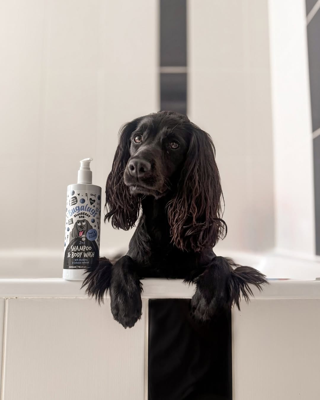 Post 4 by Bugalugs Pet Care on Instagram (image)