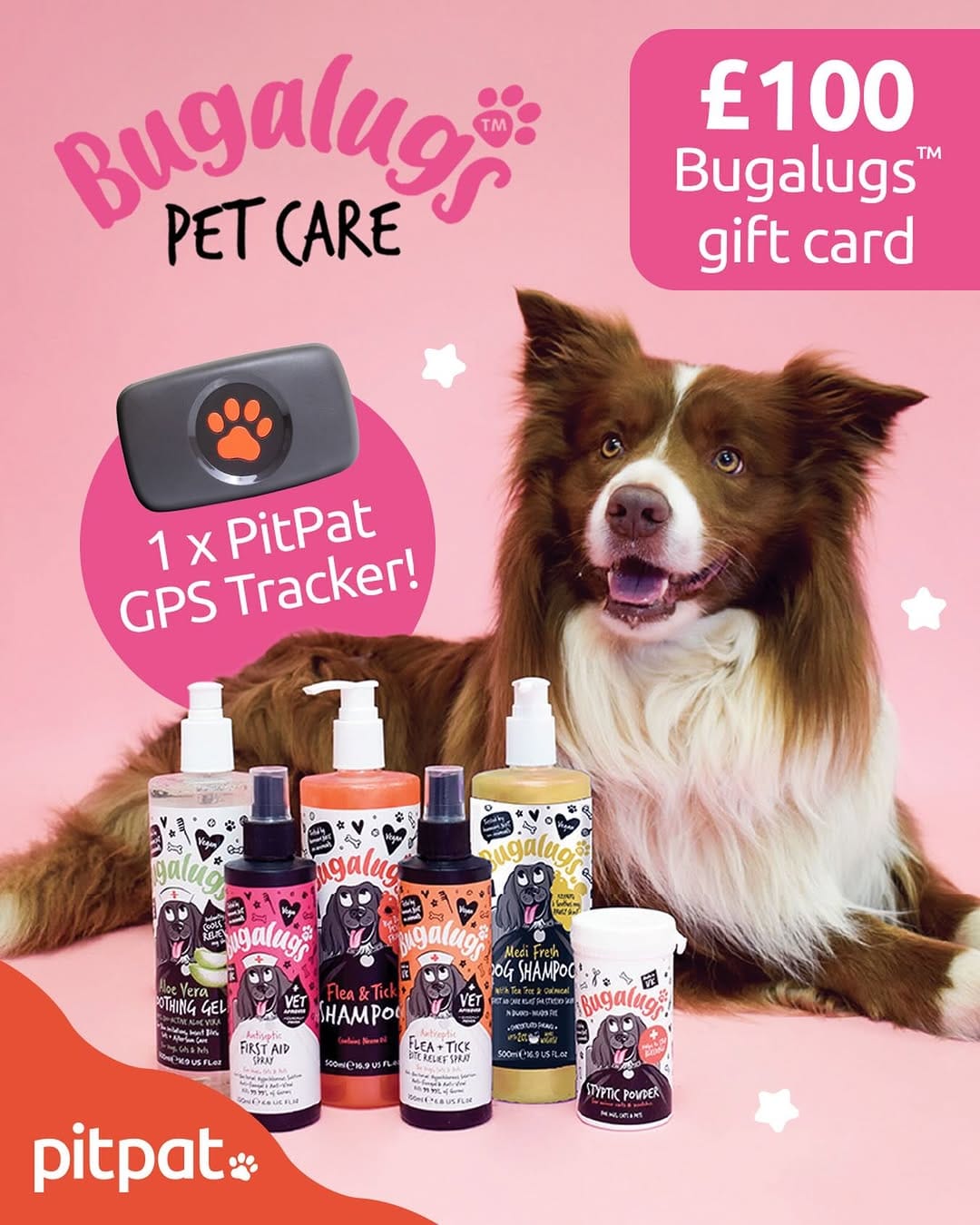 Post 7 by Bugalugs Pet Care on Instagram (image)