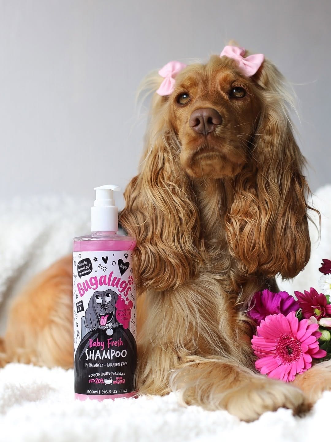 Post 2 by Bugalugs Pet Care on Instagram (image)