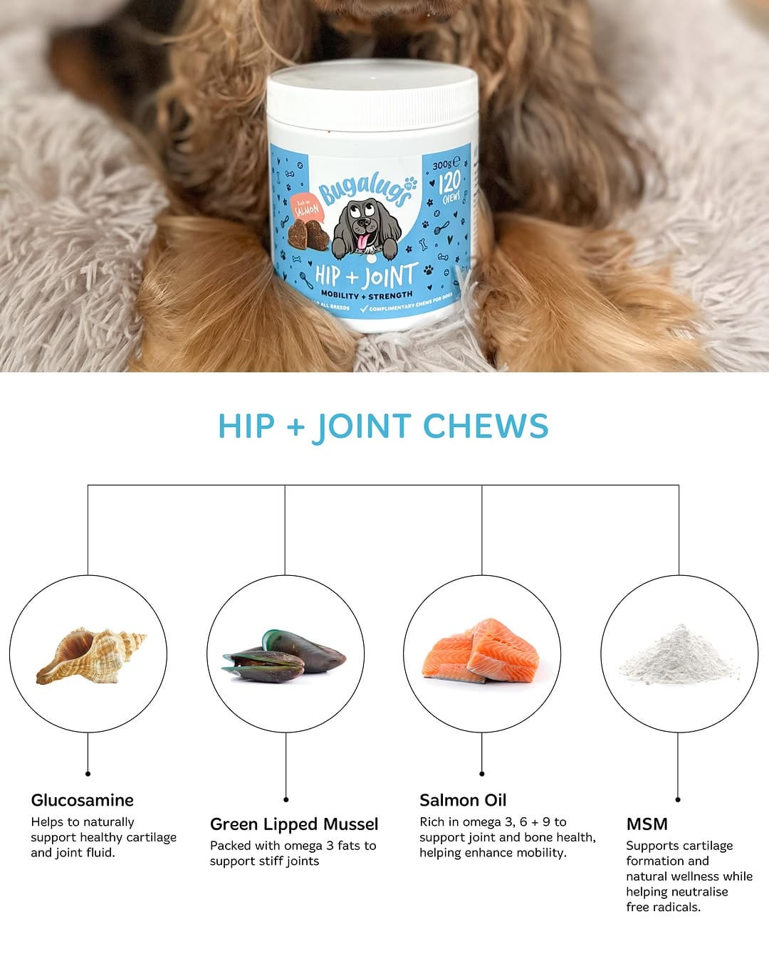 Post 8 by Bugalugs Pet Care on Instagram (image)