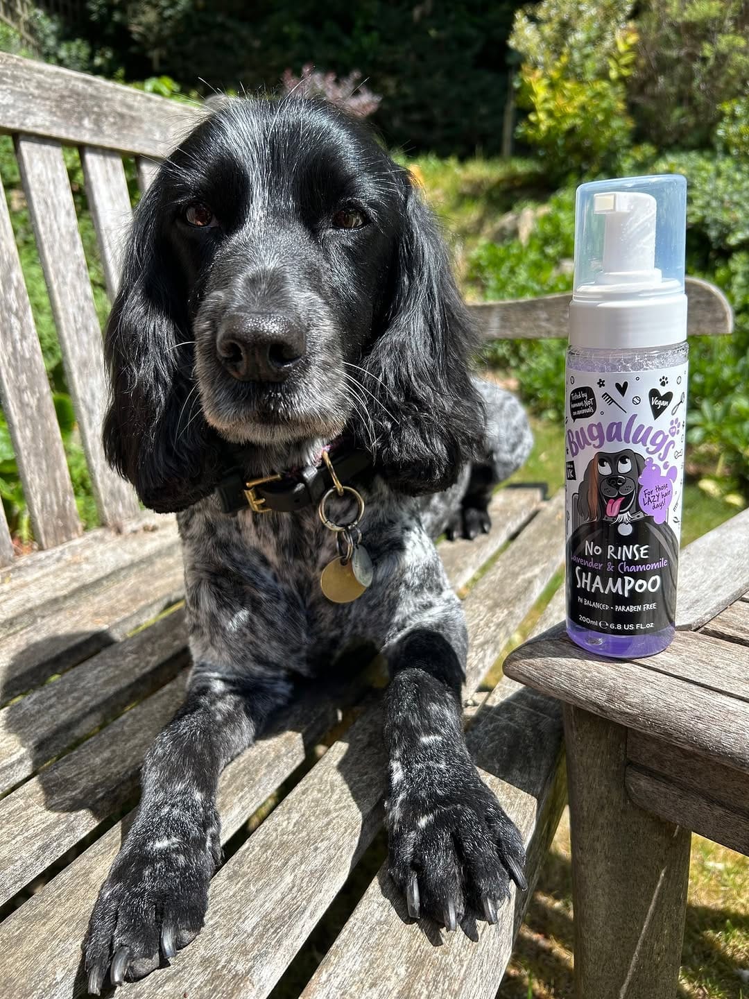Post 5 by Bugalugs Pet Care on Instagram (image)
