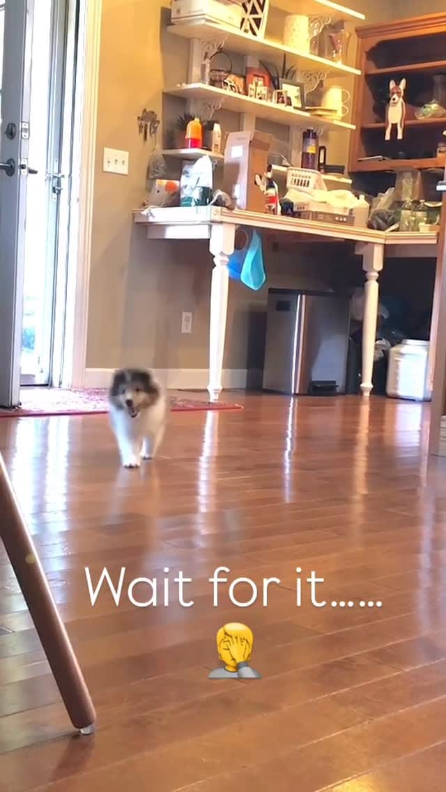 Post 4 by Stevie Wei on Instagram (video)