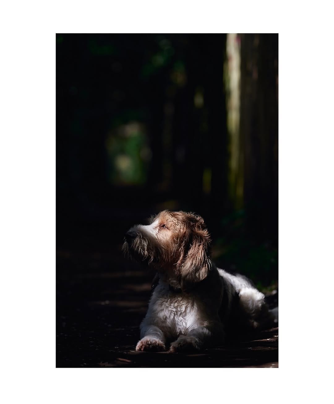 Post 1 by Dariusz Wasilewski on Instagram (image)