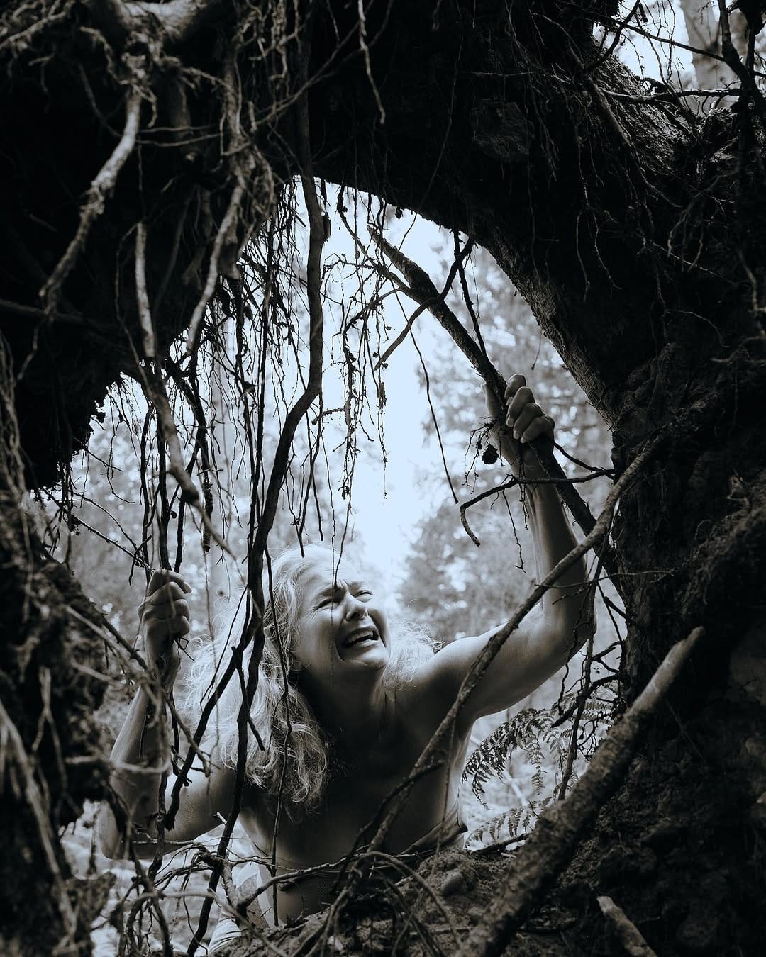 Post 4 by Dariusz Wasilewski on Instagram (image)