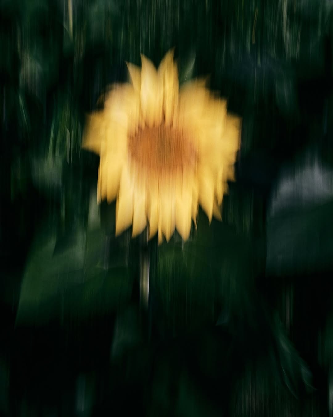 Post 3 by Dariusz Wasilewski on Instagram (image)